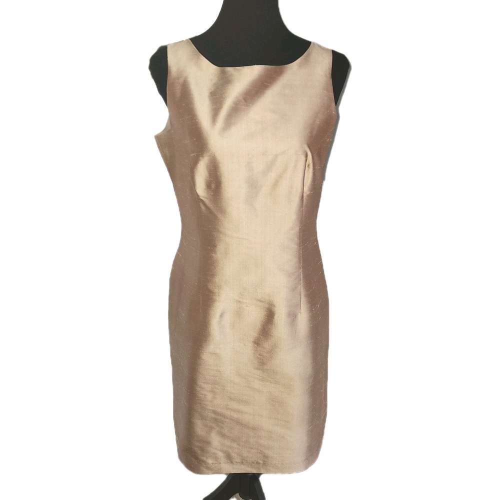 Connie Roberson Raw Silk Lined Dress Size 8 Audrey Minimalist Quiet Luxury